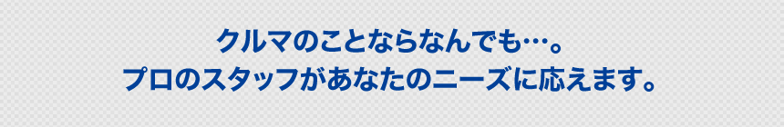 クルマのことならなんでも…。プロのスタッフがあなたのニーズに応えます。